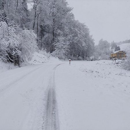 Zgornja KungotaZelena Oaza住宿加早餐旅馆 外观 照片