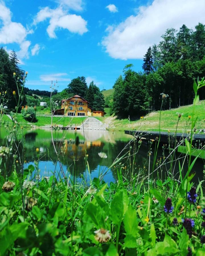 Zgornja KungotaZelena Oaza住宿加早餐旅馆 外观 照片
