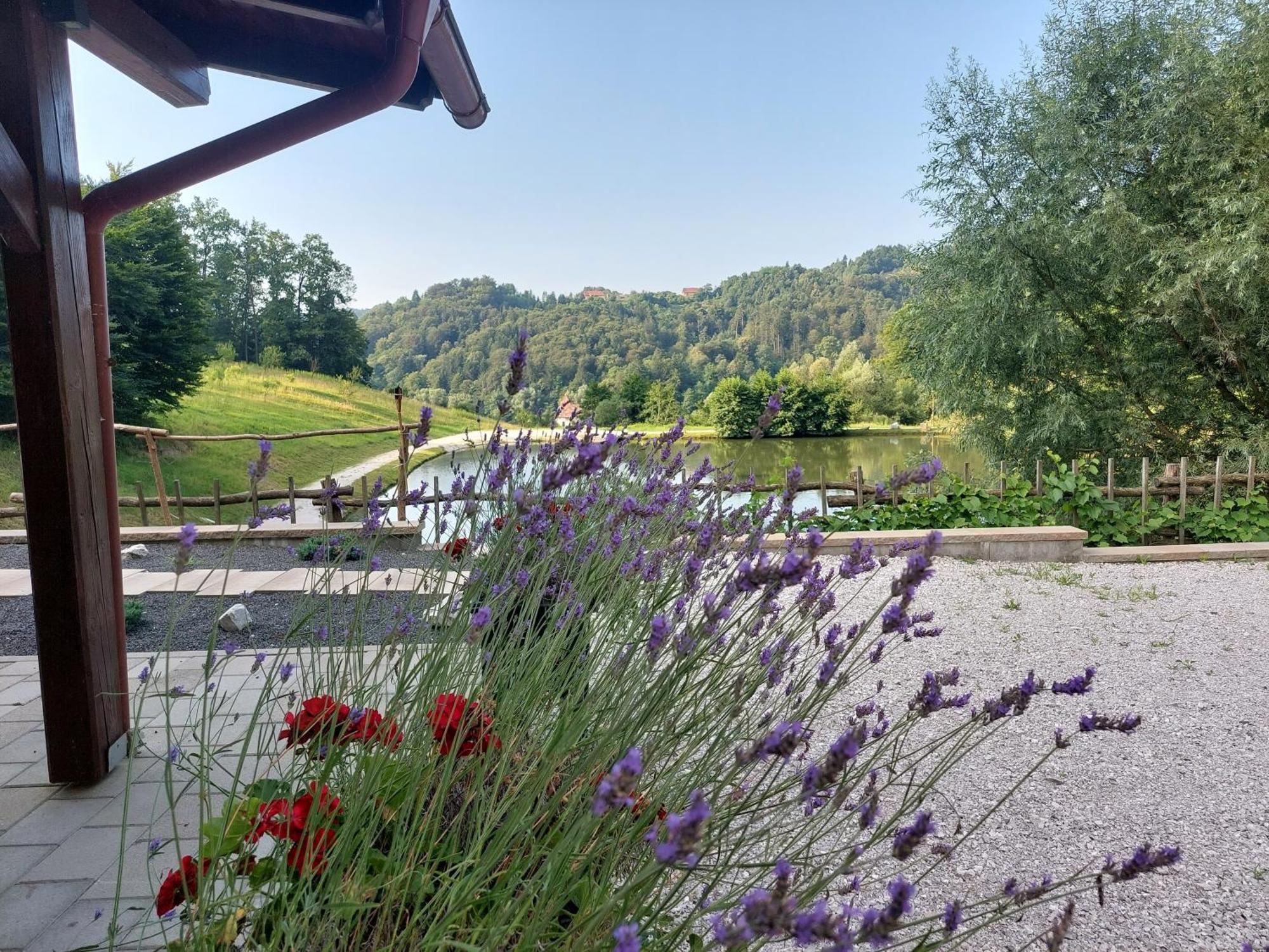 Zgornja KungotaZelena Oaza住宿加早餐旅馆 外观 照片
